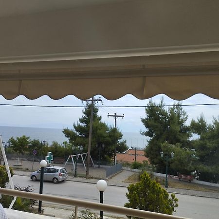 Seaview To Olympus, Sunny, Cosy Apartment ネア・ミカニオーナ エクステリア 写真