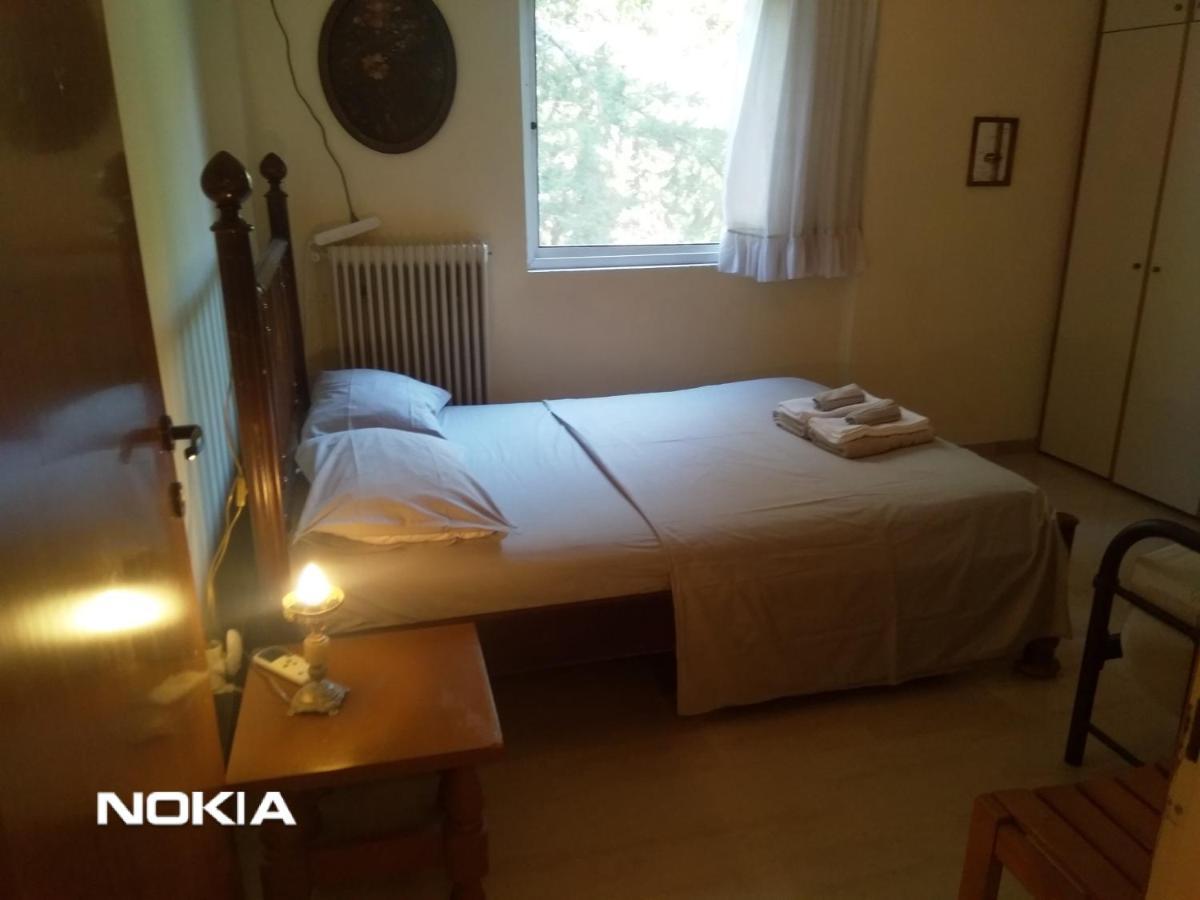 Seaview To Olympus, Sunny, Cosy Apartment ネア・ミカニオーナ エクステリア 写真