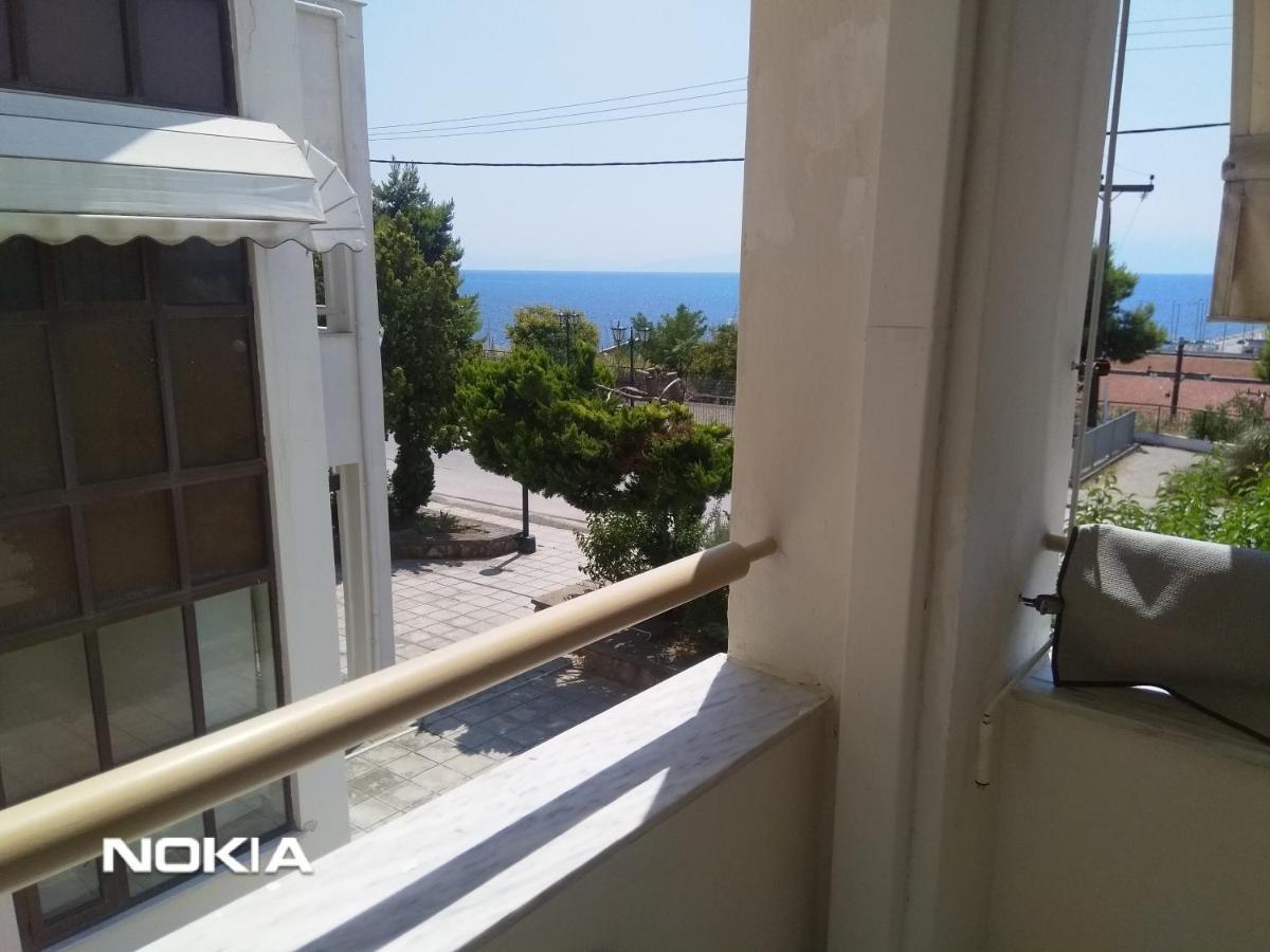 Seaview To Olympus, Sunny, Cosy Apartment ネア・ミカニオーナ エクステリア 写真